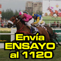 GANA JUNTO AL ENSAYO MEGA